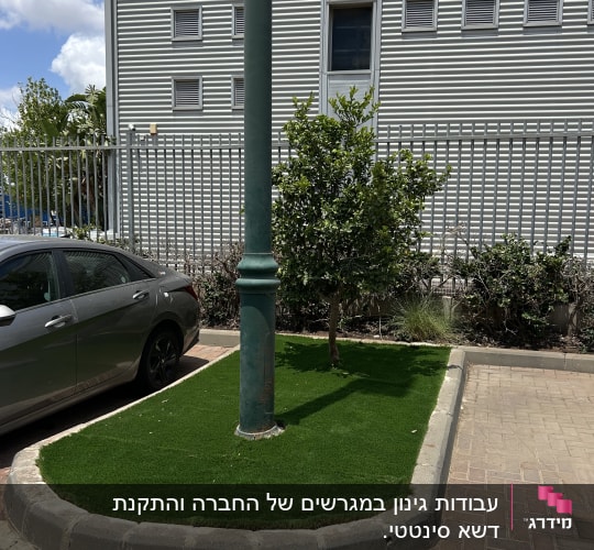 שטח ירוק עם עץ ומנורה ליד בניין